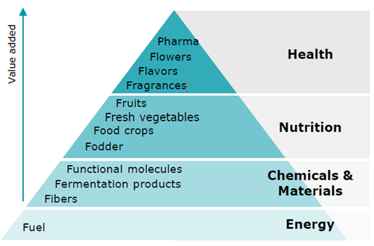 pyramide