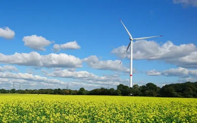 Productie windenergie met ruim een derde toegenomen