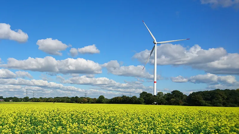 Productie windenergie met ruim een derde toegenomen