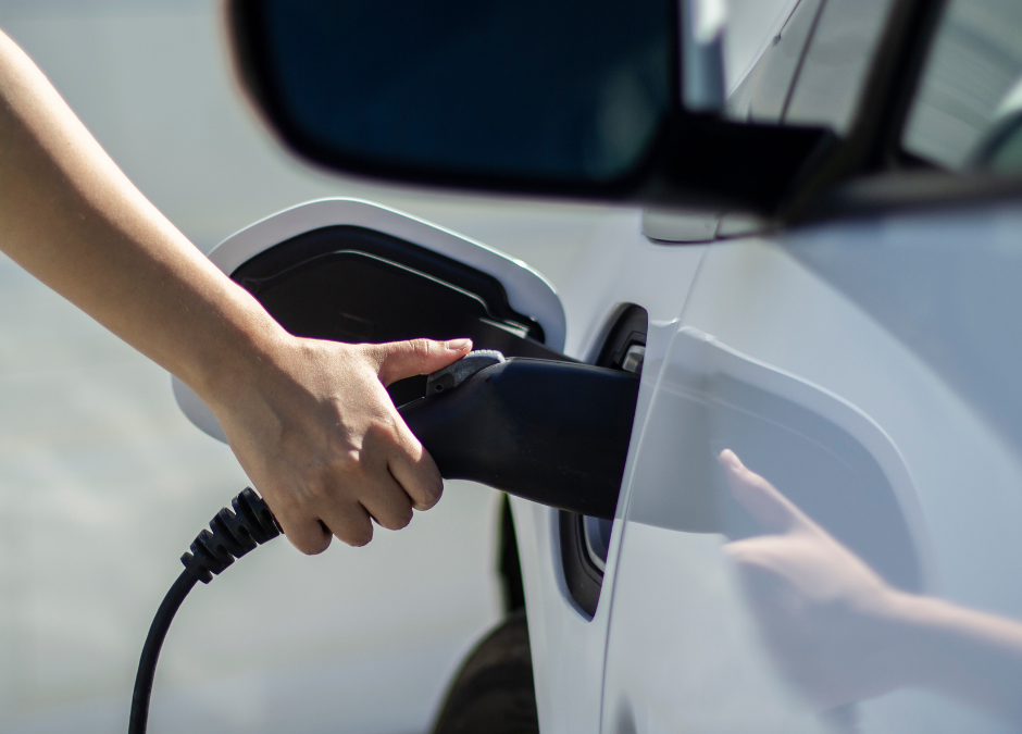 NL Groen benaming HBE-web